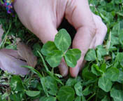 c0058653_2421622.jpg