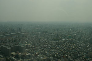 b0050356_14421359.jpg