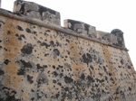c0035559_19591912.jpg