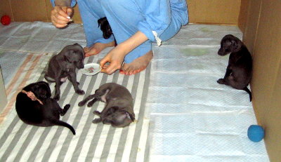 c0059066_1362166.jpg