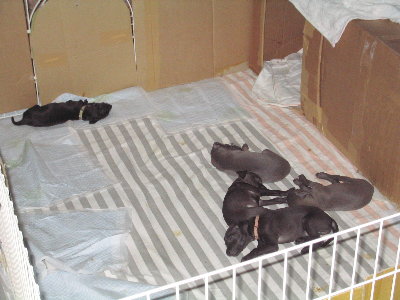 c0059066_151382.jpg