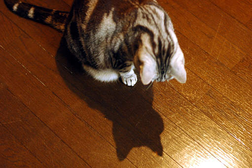 c0026870_8462957.jpg