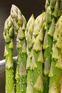 c0033992_1705739.jpg