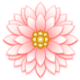d0033894_2365567.gif