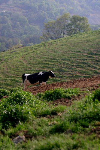 d0010607_1482449.jpg