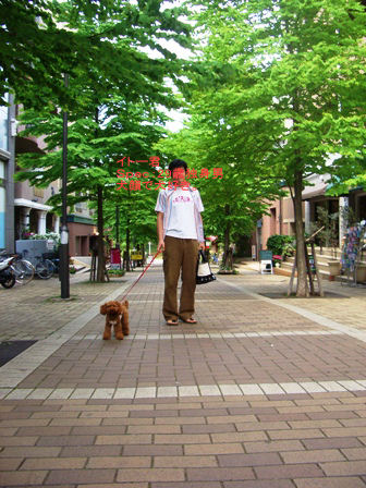 d0001509_2014560.jpg