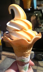c0019617_0241623.jpg