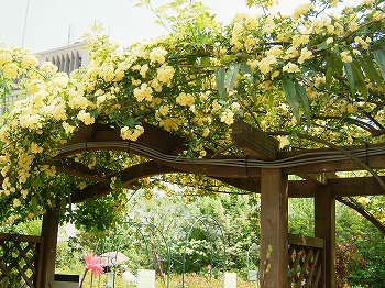 a0034419_948836.jpg