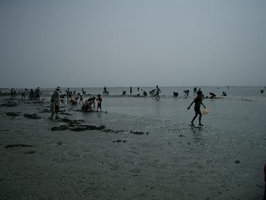 c0005619_22243876.jpg