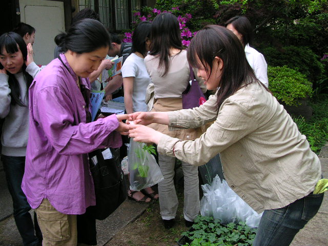 c0057325_1151069.jpg