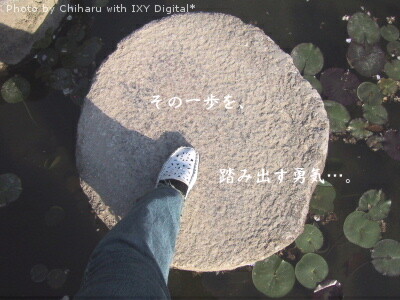 c0046340_17373767.jpg