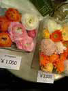 c0072971_23162569.jpg