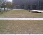 c0010783_20222413.jpg