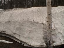 b0011185_22275689.jpg