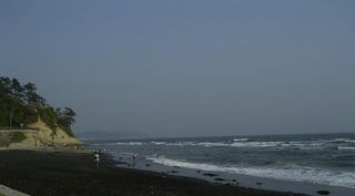 c0035093_1726164.jpg