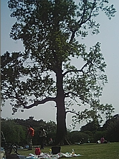 c0019396_0274213.jpg