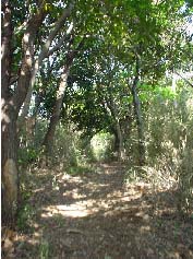 c0008598_22495922.jpg
