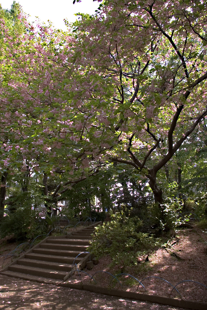 c0025498_2294748.jpg