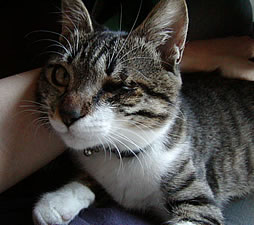 c0035001_1548439.jpg