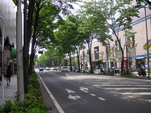 a0024005_11524532.jpg
