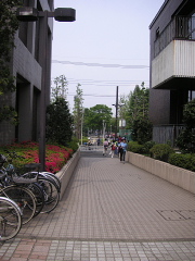 a0024005_12211570.jpg