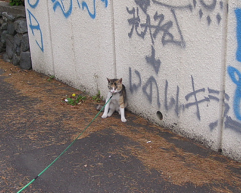 a0024005_12224610.jpg