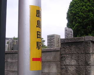 a0024005_3111378.jpg