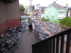 a0024005_345327.jpg