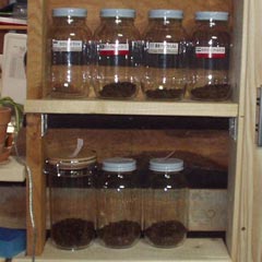 c0036617_20501962.jpg