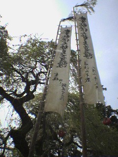 c0022723_083854.jpg
