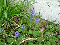 b0041537_22561468.jpg