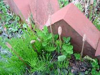 b0041537_2256645.jpg