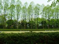 b0045267_229364.jpg
