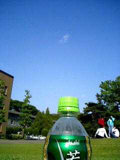 c0032771_4574269.jpg