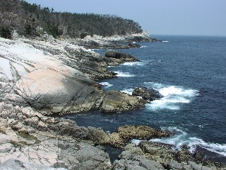 b0021101_22422576.jpg