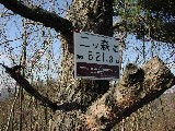 b0021101_235299.jpg