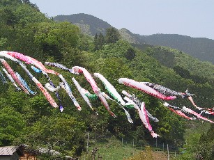 b0050104_22165886.jpg