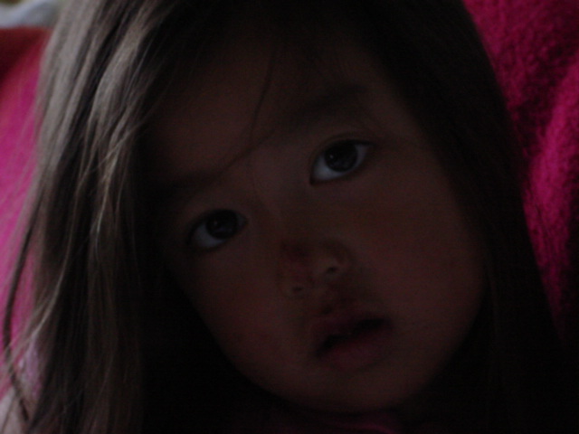 c0048504_1185163.jpg