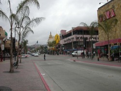 c0062904_925531.jpg