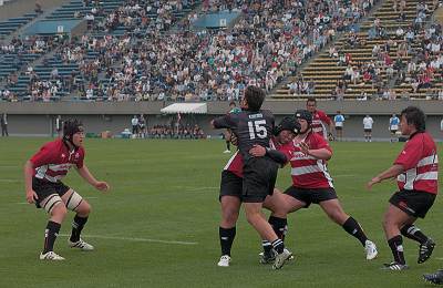 a0014606_1022563.jpg