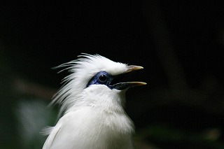 b0026110_1748445.jpg