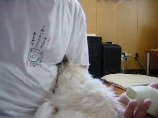 c0024410_17175898.jpg