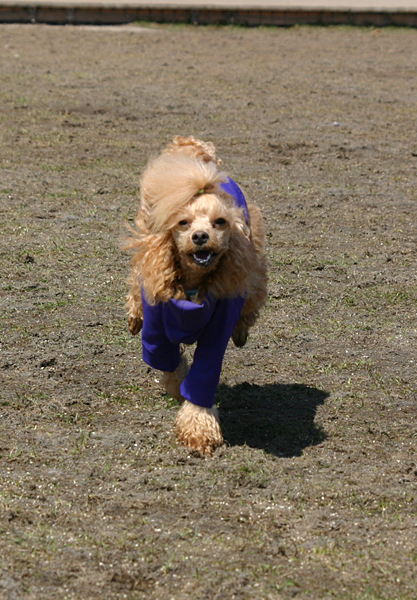 a0016311_0333478.jpg