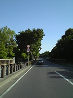 c0019617_235156.jpg