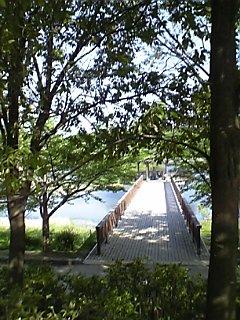 c0019617_2351642.jpg