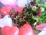 c0055324_23433327.jpg