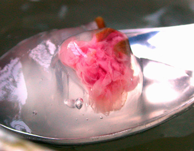 d0008925_23324464.jpg