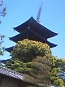 c0020044_20445941.jpg