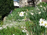 d0008073_0112097.jpg