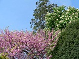 d0008073_0133756.jpg